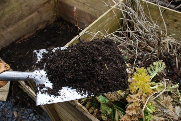 Готовим супер компост весной в мешках и на грядках
