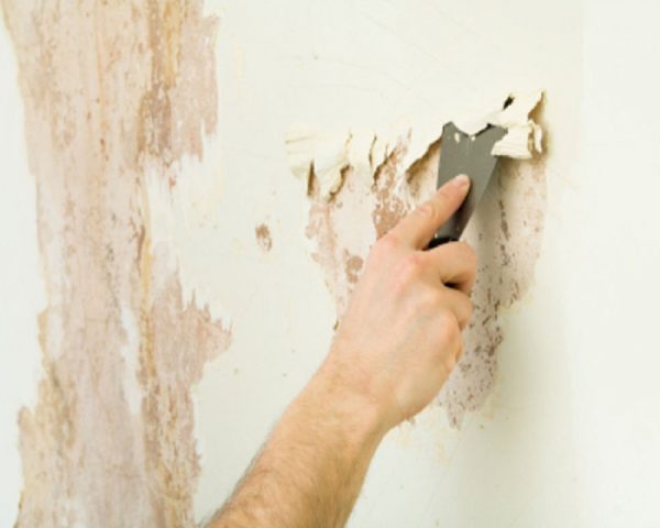 removing-the-whitewash-from-the-wall