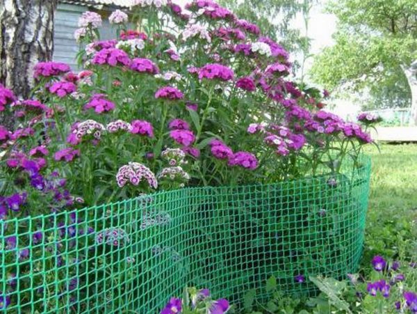 Строительная сетка в саду-идеи для дачника