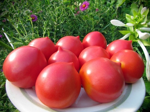 Картинки по запросу помидоры сорта Вкусные помидоры для теплиц