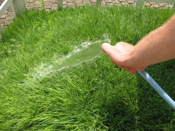 lawn-watering-2