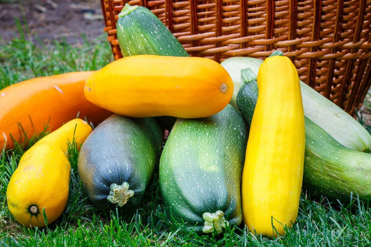 Картинки по запросу Советы по уборке урожая для получения самых свежих овощей