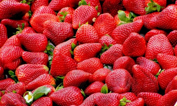 strawberries-99551_960_720