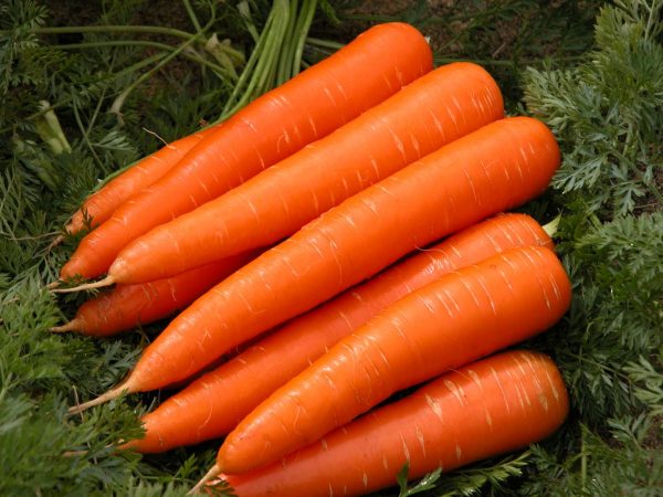 Carrot-fruits