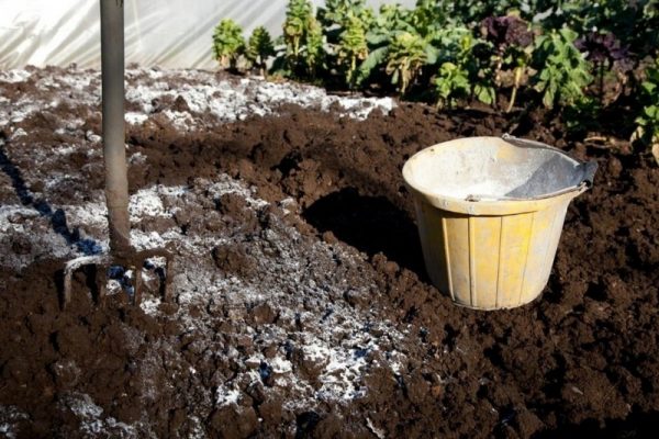 Известкование грунта: какая почва нуждается в известковании, какое  количество извести требует кислый грунт