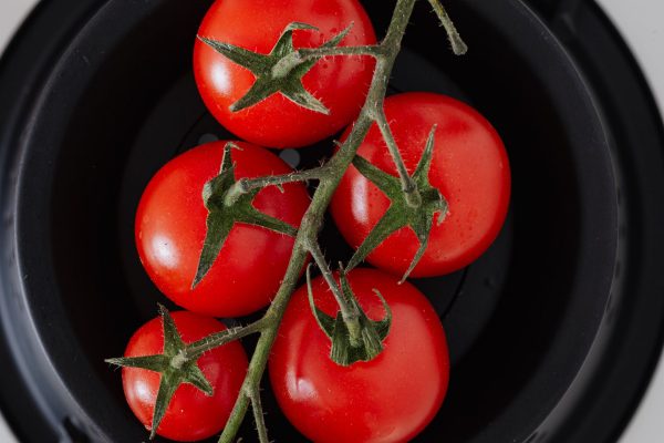 Как ускорить созревание томатов: 4 проверенных способа : Правда Гомель